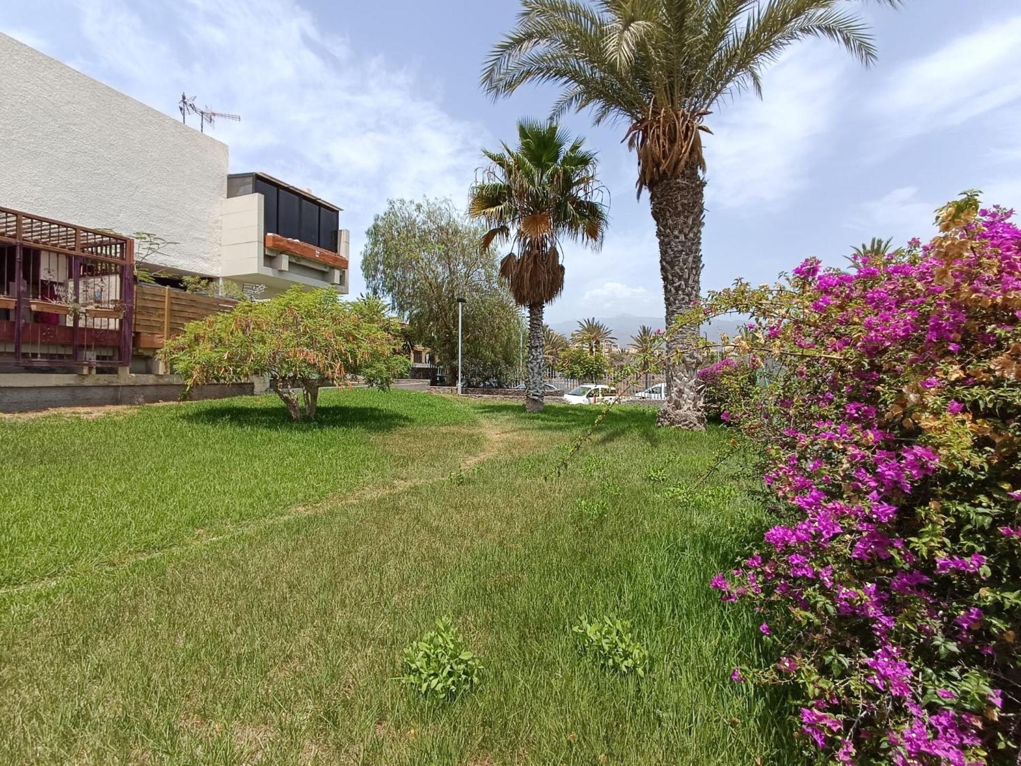 קוסטה דל סילנסיו Apartment Tenerife South Coast מראה חיצוני תמונה